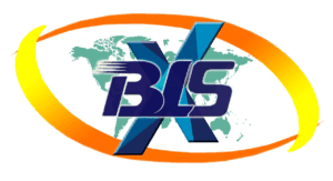 BLSX Limited Shares